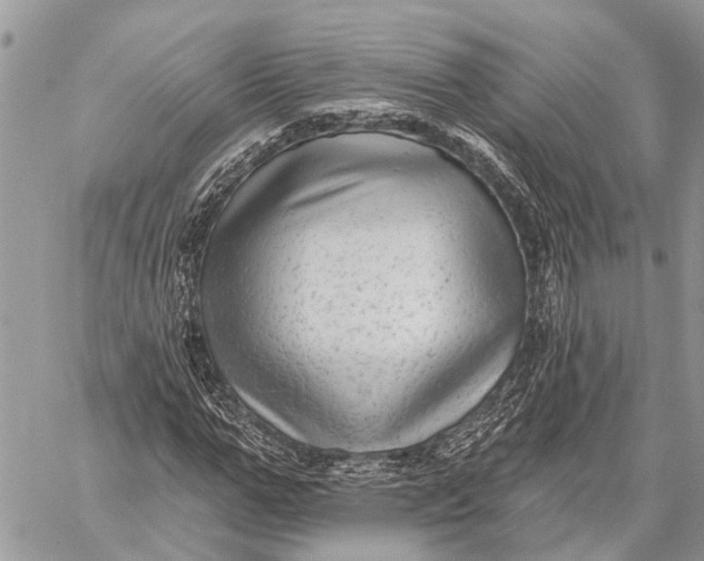 X0000059080967200510281719