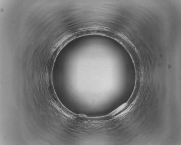 X0000059080969200510281719