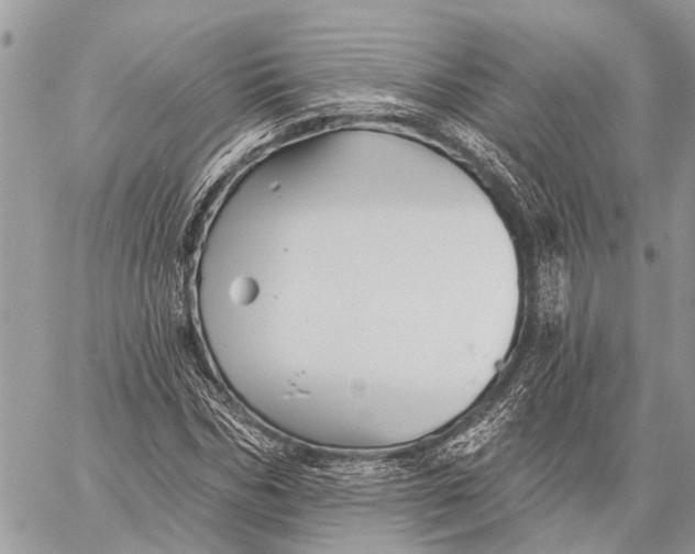 X0000059080970200510281719