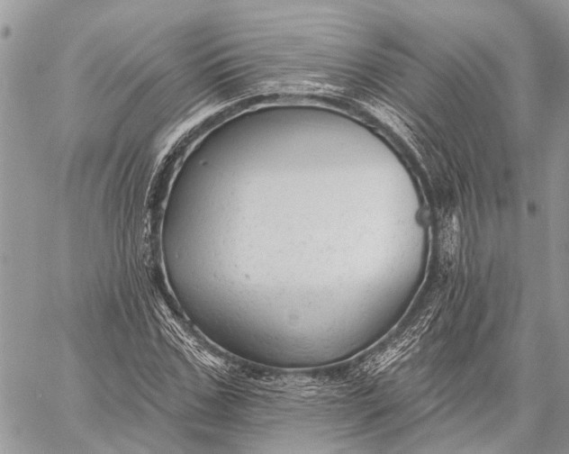 X0000059080971200510281719