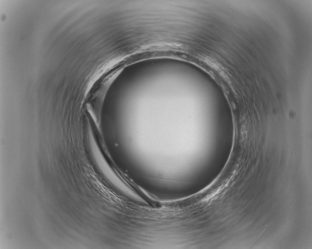 X0000059080973200510281719