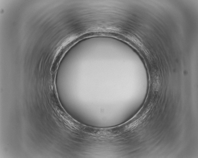 X0000059080974200510281719