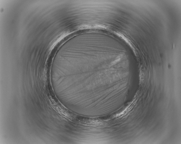 X0000059080975200510281719