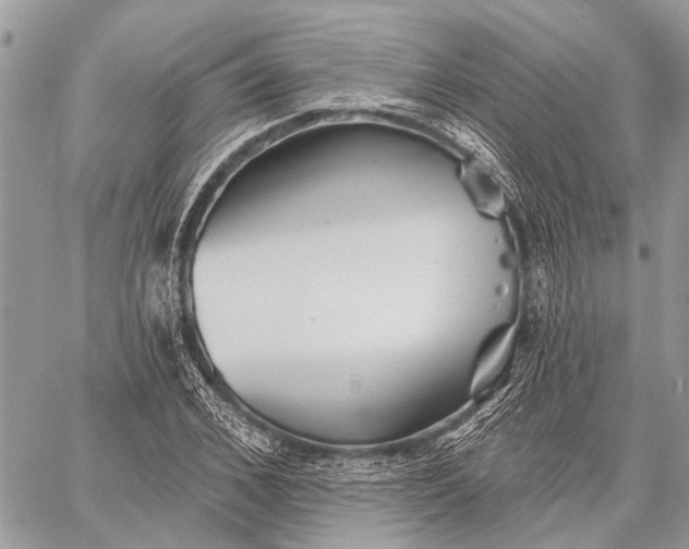 X0000059080976200510281719