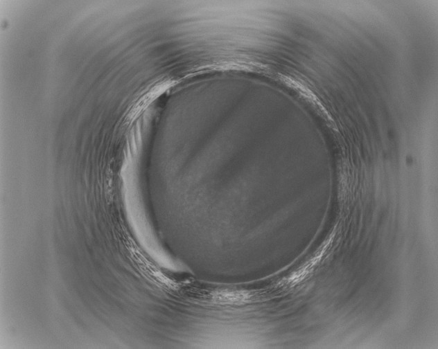 X0000059080977200510281719