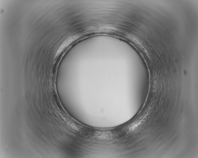 X0000059080978200510281719