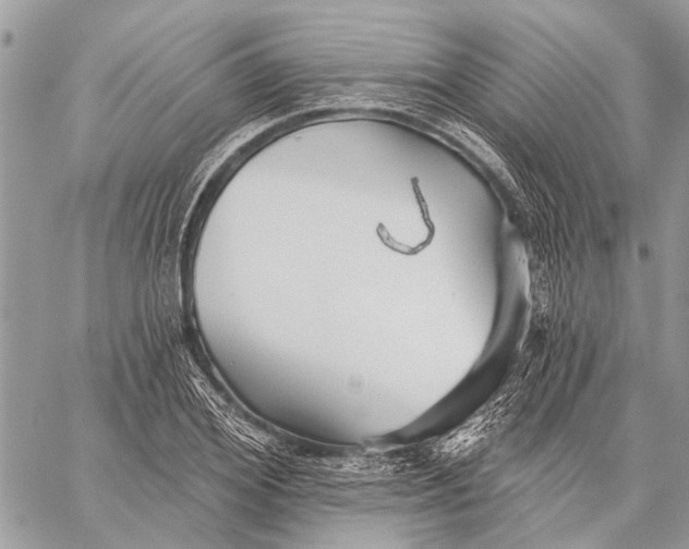 X0000059080980200510281719