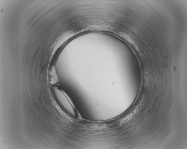 X0000059080981200510281719