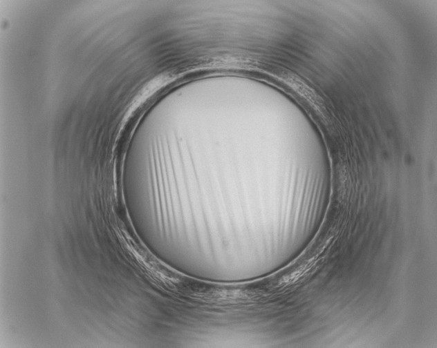 X0000059080982200510281719