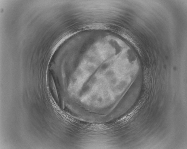 X0000059080983200510281719