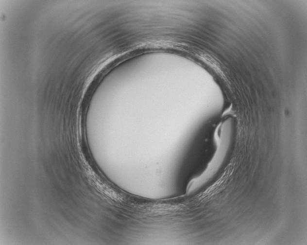 X0000059080984200510281719