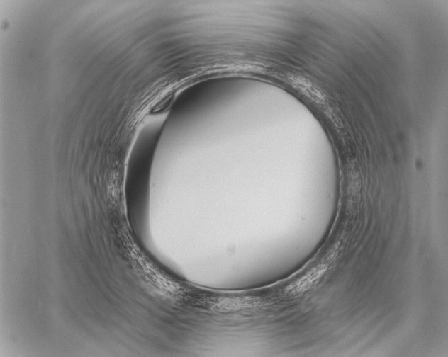 X0000059080985200510281719