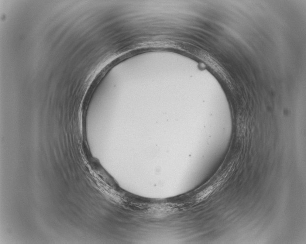 X0000059080988200510281719