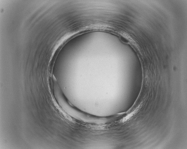 X0000059080989200510281719