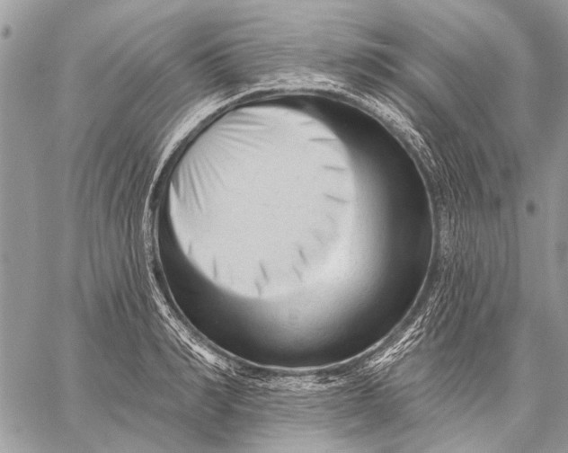 X0000059080990200510281719