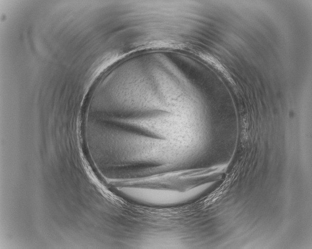 X0000059080991200510281719