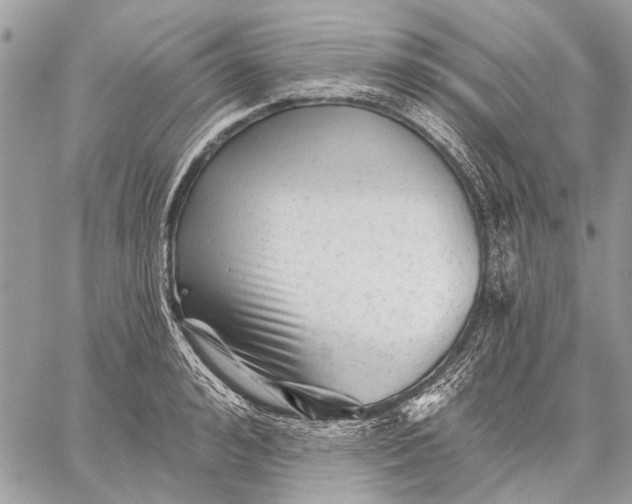 X0000059080992200510281719