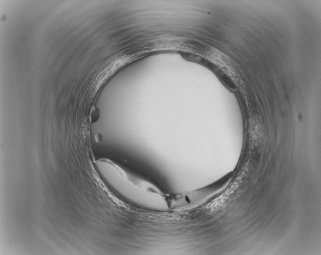 X0000059080993200510281719