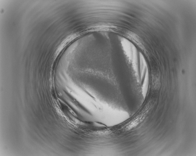 X0000059080994200510281719