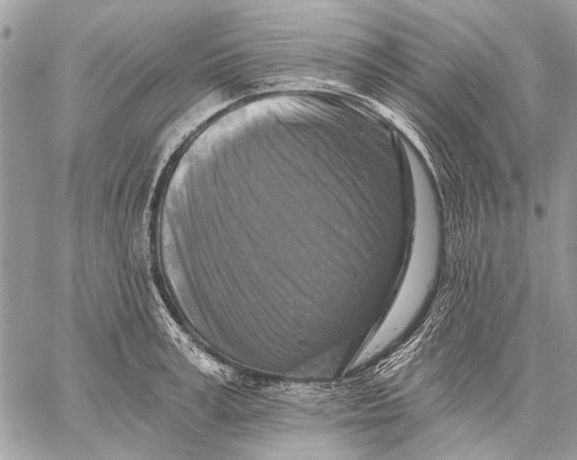 X0000059080995200510281719