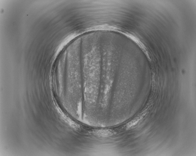 X0000059080998200510281719