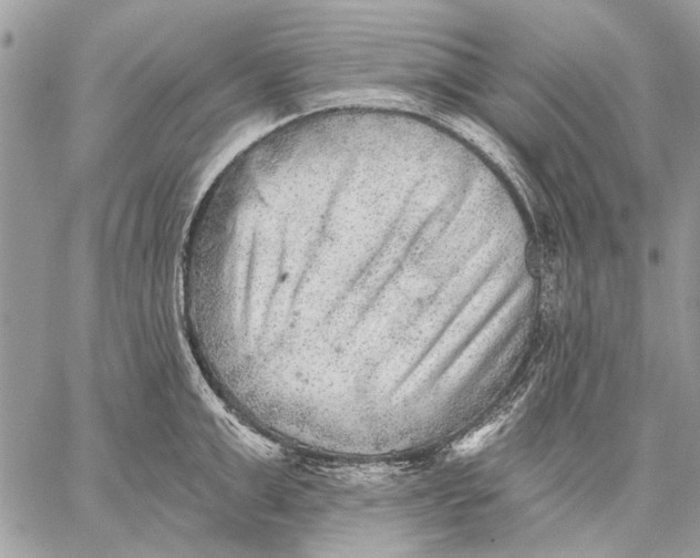 X0000059080999200510281719