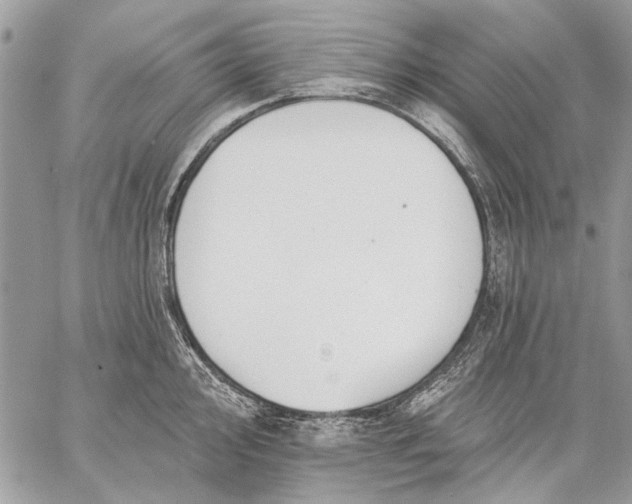 X0000059081000200510281719