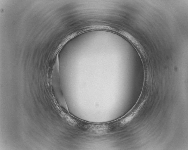 X0000059081001200510281719