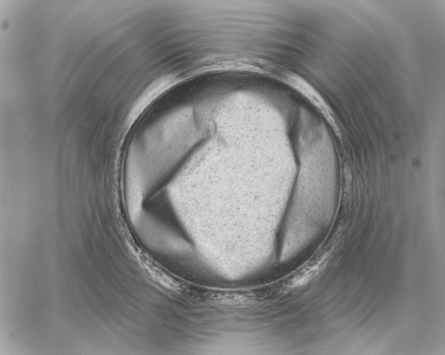 X0000059081002200510281719