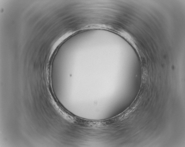 X0000059081003200510281719