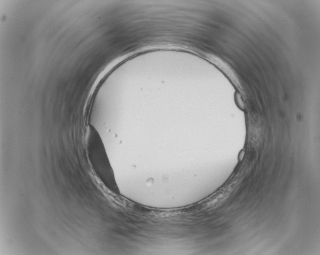 X0000059081004200510281719