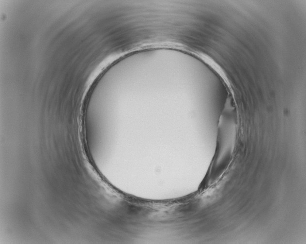 X0000059081005200510281719