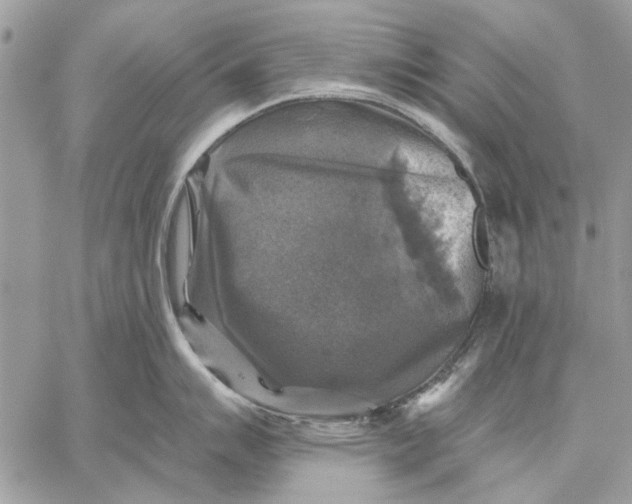 X0000059081007200510281719