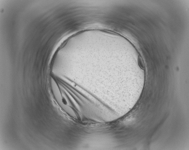 X0000059081008200510281719