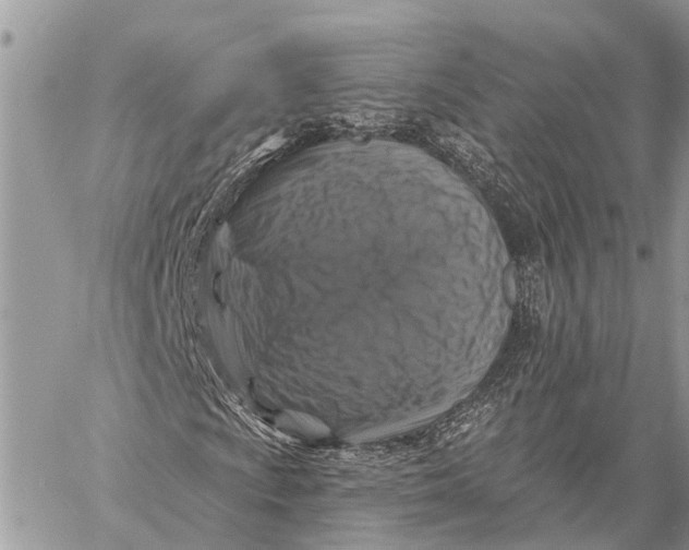 X0000059081009200510281718