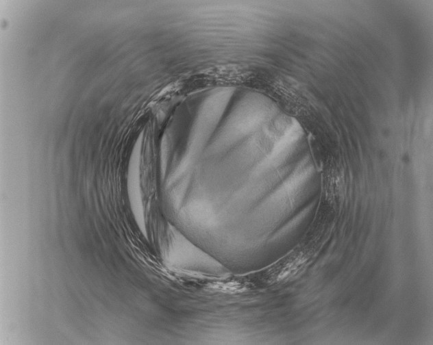 X0000059081010200510281718