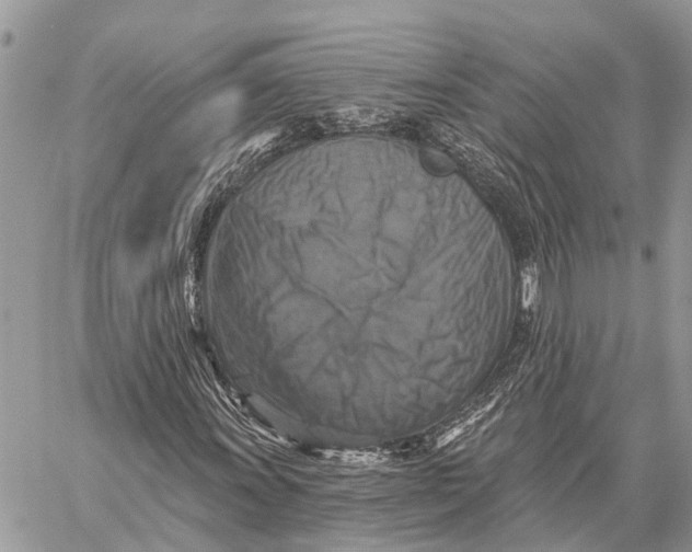 X0000059081011200510281718