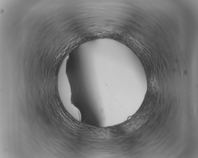 X0000059081012200510281718