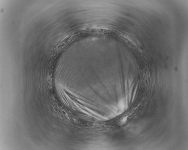 X0000059081013200510281718