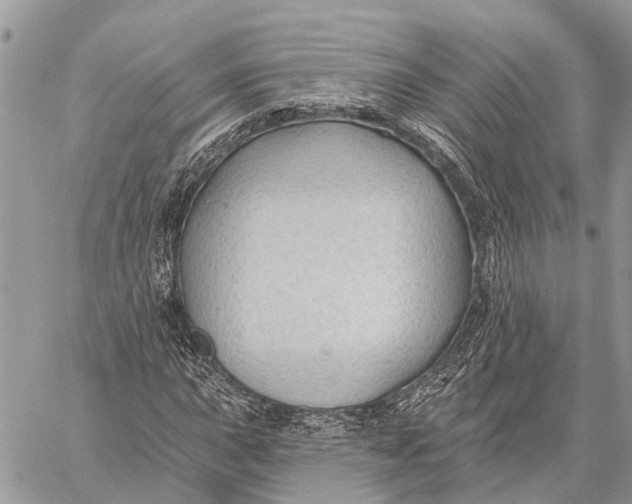 X0000059081015200510281718