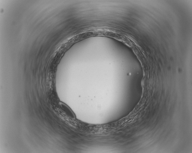 X0000059081016200510281718