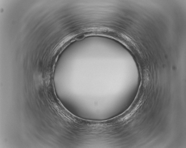 X0000059081017200510281718