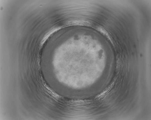 X0000059081019200510281718