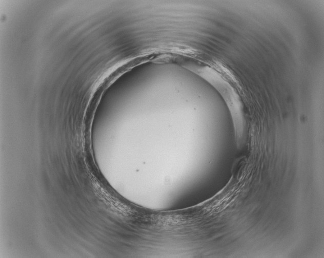 X0000059081020200510281718