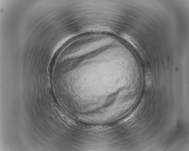 X0000059081022200510281718