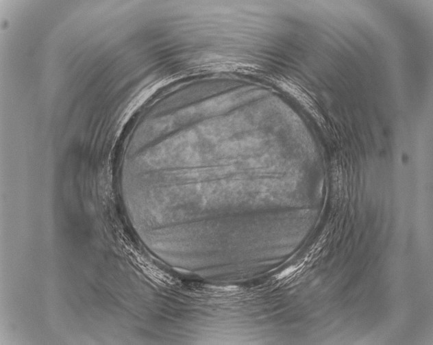 X0000059081023200510281718