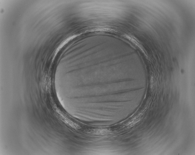 X0000059081024200510281718