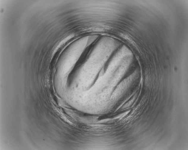 X0000059081026200510281718