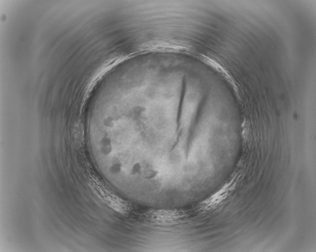 X0000059081027200510281718