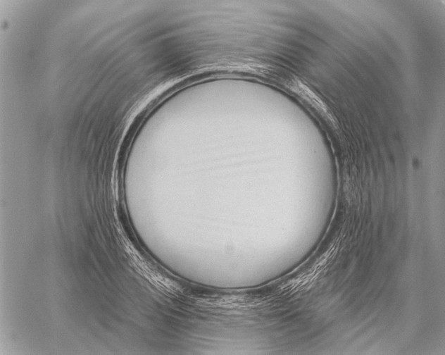 X0000059081028200510281718